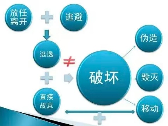 微信图片_20250924152559_205_80